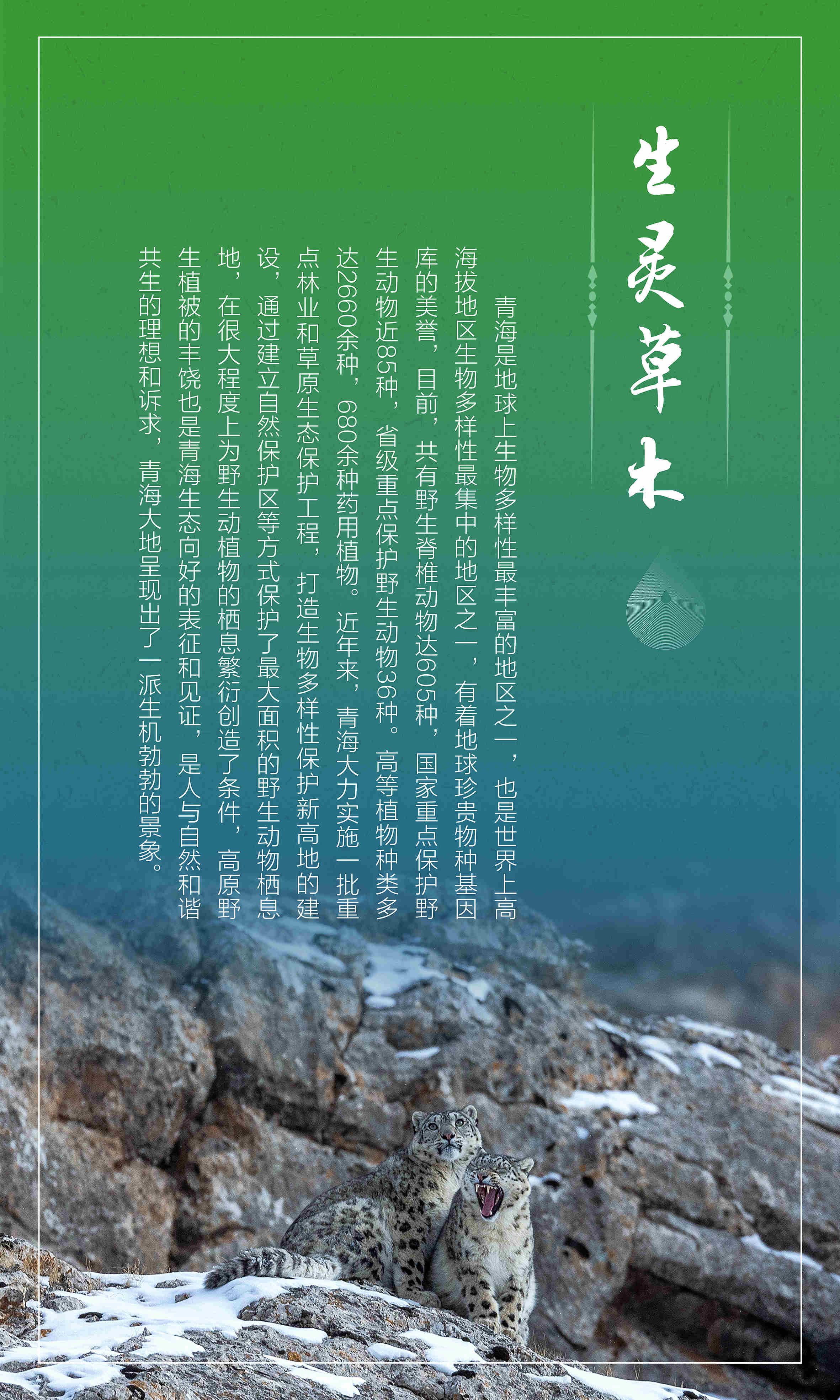 1生灵草木